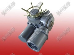 機(jī)電一體化開(kāi)關(guān)型執(zhí)行器DZW20-24-A0