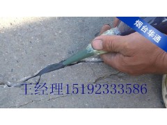 河北道路密封膠廠家與您坦誠(chéng)相待