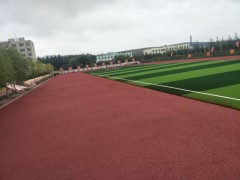 云南省臨滄市專業(yè)學校操場運動場透