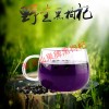 北京口碑好的黑枸杞低價批發|天然的黑枸杞