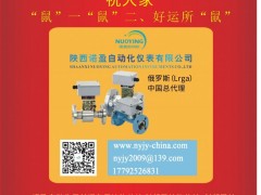 陜西諾盈自動化儀表  總經(jīng)理  李軍榮2020新春寄語 一百零八星報(bào)喜之地樂星