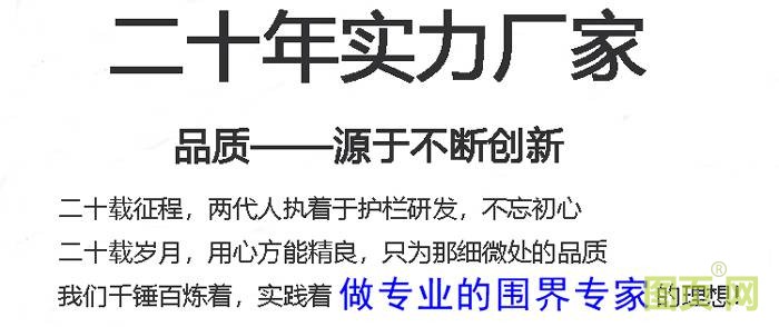 二十年實(shí)力廠(chǎng)家