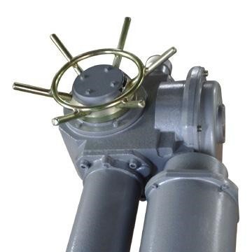 DZW15-24-A00-WK 智能開(kāi)關(guān)型電動(dòng)裝