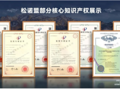 松諾盟順利通過國家知識產(chǎn)權(quán)管理體系貫標認證！