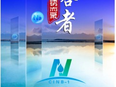 【參會指南】超200家單位報名，五十六場精彩報告，共同開啟鈉電盛會