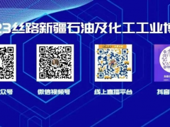 聚焦“八大產業集群”，CACPE 新疆石油化工展成為新一輪發展加速器，助推西北油氣化工產業延鏈、補鏈、拓鏈、強鏈！