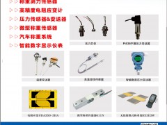 廣東華蘭海電測(cè)入刊上海世環(huán)會(huì)特刊《儀表與測(cè)量控制》系列客戶報(bào)道40